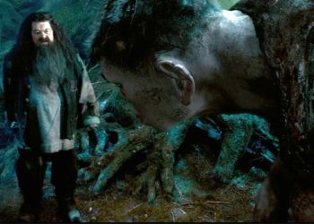 بازیگر هاگرید در مجموعه هری پاتر از دنیا رفت