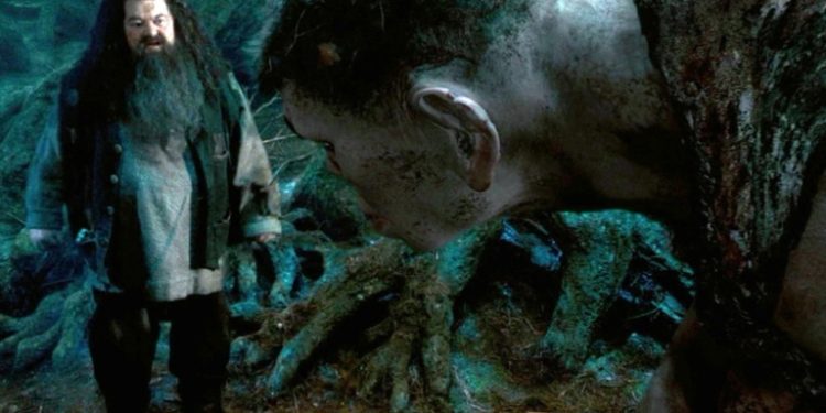 بازیگر هاگرید در مجموعه هری پاتر از دنیا رفت