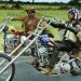 بازسازی فیلم Easy Rider ساخته می‌شود