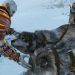 یک چهارم بازیکنان God of War Ragnarok داستان آن را به پایان رسانده‌اند