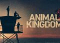 پادشاهی حیوانات Animal Kingdom