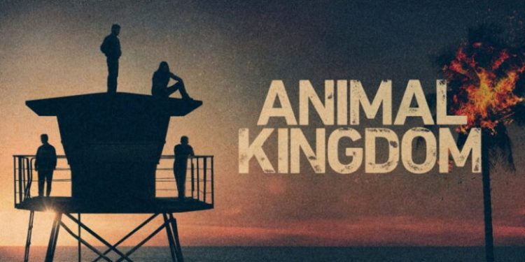 پادشاهی حیوانات Animal Kingdom