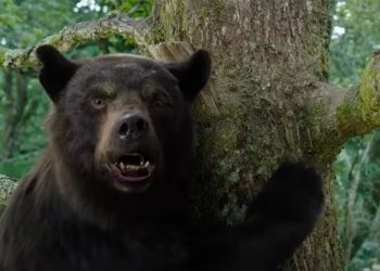 شاهد تصاویر فیلم‌ دلهره‌آور Cocaine Bear باشید