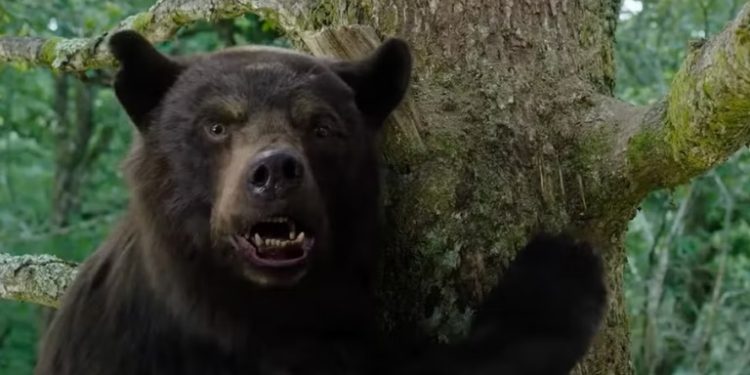 شاهد تصاویر فیلم‌ دلهره‌آور Cocaine Bear باشید