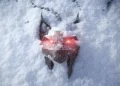 طراح ارشد روایت The Witcher 4 در مورد محل روایت این بازی صحبت میکند