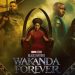 باکس آفیس | فروش ضعیف فیلم Black Panther 2 در آستانه اکران Avatar 2