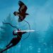 تاریخ عرضه The Pathless روی Xbox و نینتندو سوییچ اعلام شد