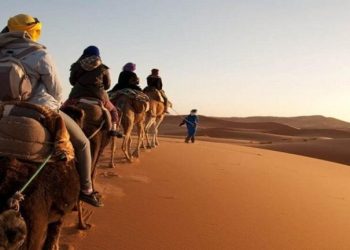 راهنمای کویرگردی در زمستان