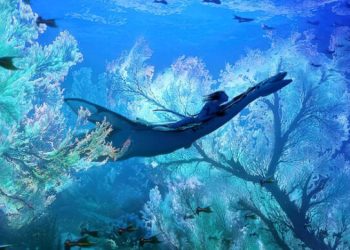 باکس آفیس | فروش فیلم Avatar 2 از دو میلیارد دلار گذشت