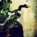 شایعه: در نیمه اول امسال از Metal Gear Solid Remake رونمایی خواهد شد