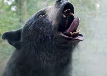 نقدها و نمرات فیلم Cocaine Bear