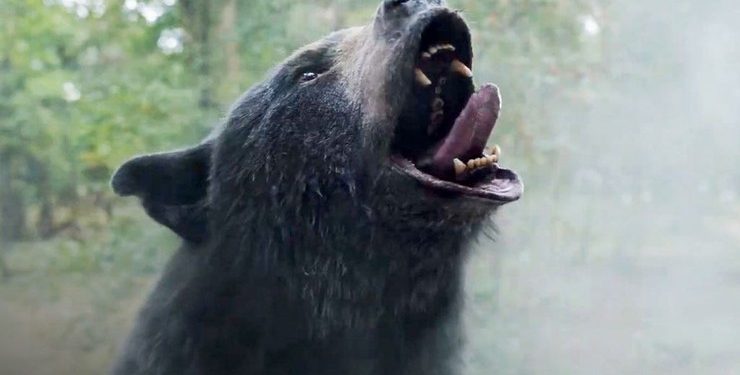 نقدها و نمرات فیلم Cocaine Bear