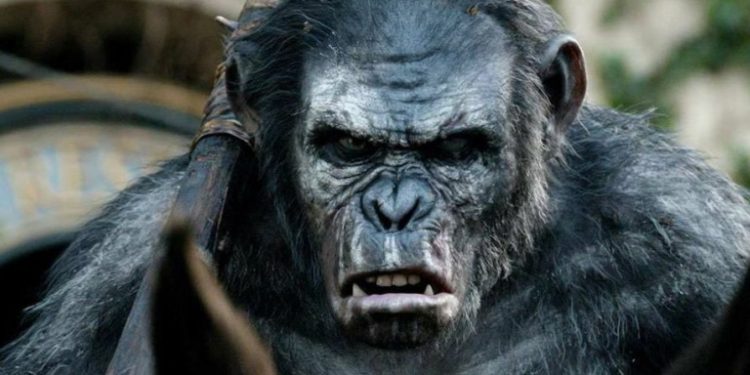 پایان فیلم‌برداری Kingdom of the Planet of the Apes