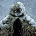 جیمز منگولد به دنبال کارگردانی فیلم Swamp Thing برای دی‌سی است