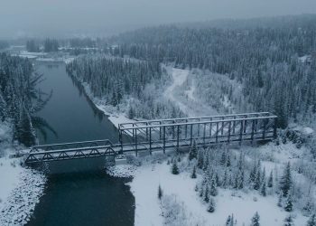 سوتی های قسمت 6 سریال The Last of Us