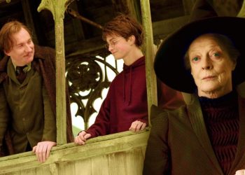 نگاهی بر دوست‌داشتنی‌ترین پروفسورهای مدرسه هاگواترز