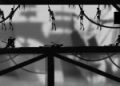 دانلود بازی Dead Ninja Mortal Shadow برای اندروید