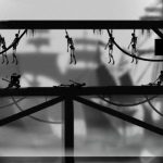 دانلود بازی Dead Ninja Mortal Shadow برای اندروید