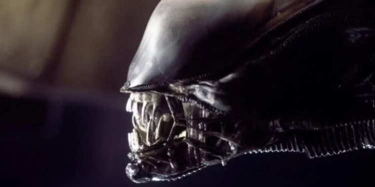 فیلمبرداری فیلم جدید Alien به زودی شروع می‌شود