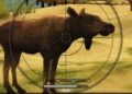 دانلود بازی Wild Hunt Hunting Games 3D برای اندروید