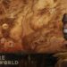 دانلود بازی Diablo Immortal برای اندروید