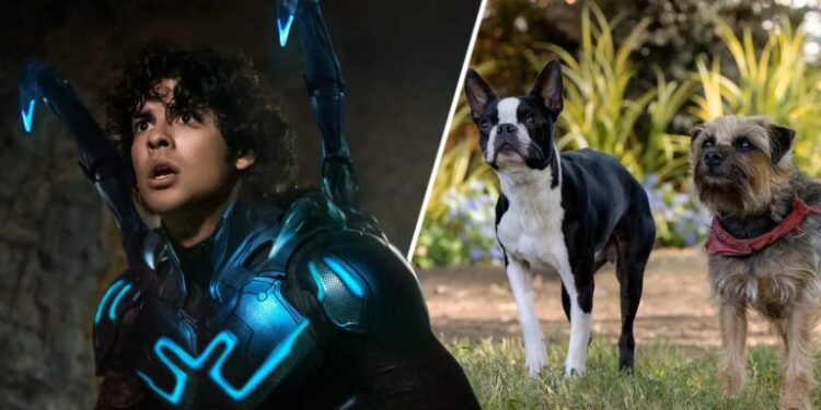 باکس آفیس | فیلم Blue Beetle جای باربی را در صدر گرفت