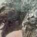 خودنمایی گودزیلا در تصویر جدید فیلم Godzilla Minus One
