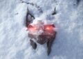 تمرکز CD PROJEKT RED بر روی بازی ویچر 4