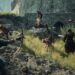 کارگردان بازی Dragon’s Dogma 2: به افزودن مود مولتی پلیر فکر نمی‌کنیم
