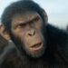 پوستر تازه فیلم Kingdom of the Planet of the Apes منتشر شد