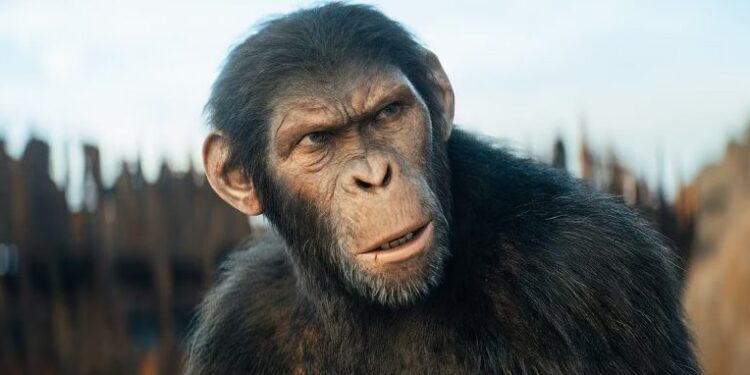 انتشار آخرین تریلر فیلم Kingdom of the Planet of the Apes