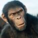 انتشار آخرین تریلر فیلم Kingdom of the Planet of the Apes