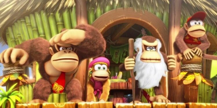 شایعه: Vicarious Visions زمانی روی Donkey Kong کار میکرده است