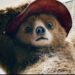 نخستین تریلر فیلم Paddington In Peru منتشر شد