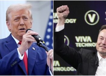 ایلان ماسک پیشنهاد پست دولتی ترامپ را پذیرفت