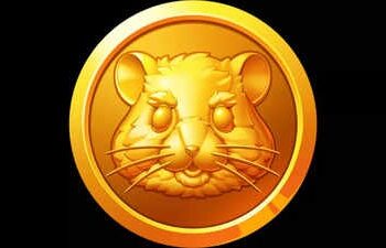 همستر کامبت تعداد توکن هر کاربر را اعلام کرد