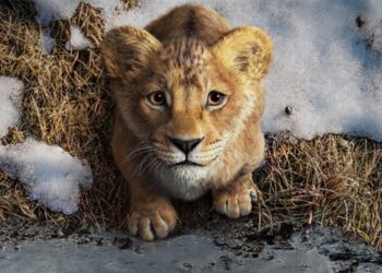 موفاسا با پوستری جدید برای فیلم Mufasa the Lion King از راه می‌رسد